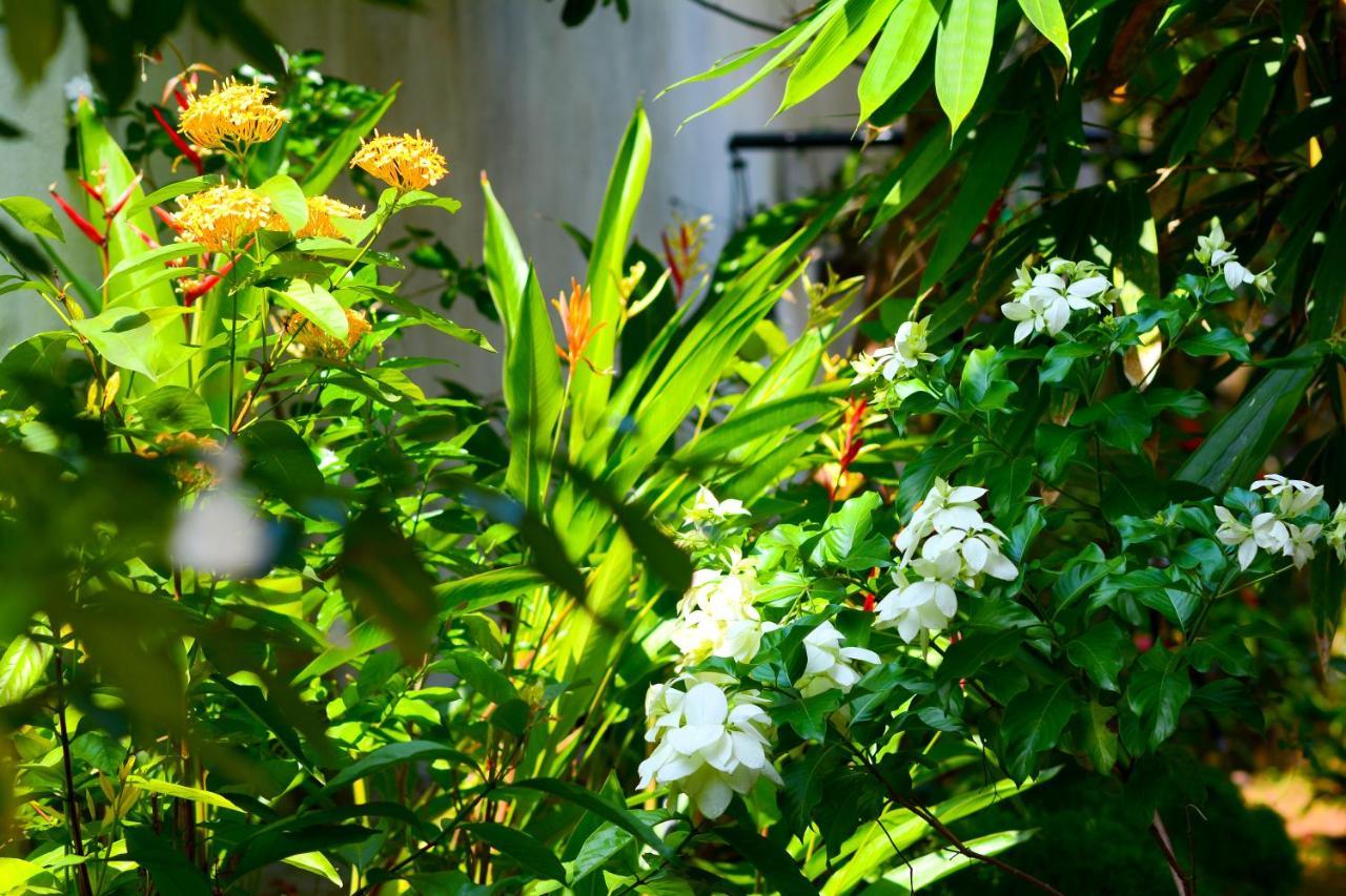 Palm Garden Guest House Galle Exterior photo